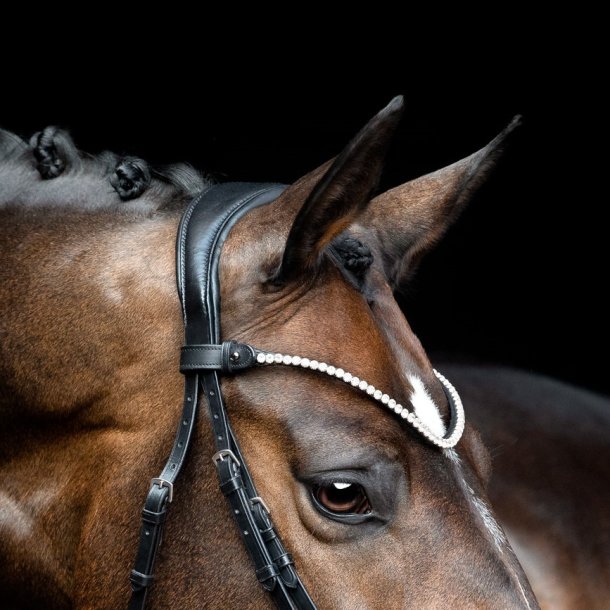 SD Rapsody Browband. Black. 