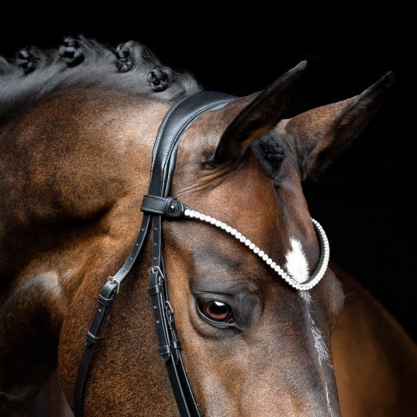 SD Rapsody Browband. Black. 