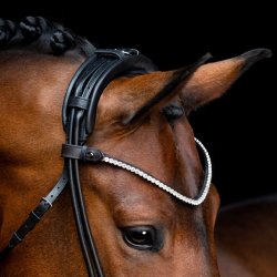 SD Rapsody Browband. Black. 