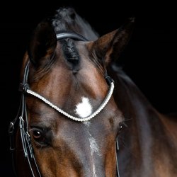 SD Rapsody Browband. Black. 