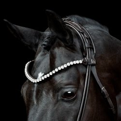 SD L nique Browband.  