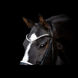 SD L nique Browband.  