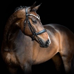 SD Anatomic noseband no.VII. Black.