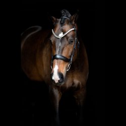 SD Anatomic noseband no.VII. Black.