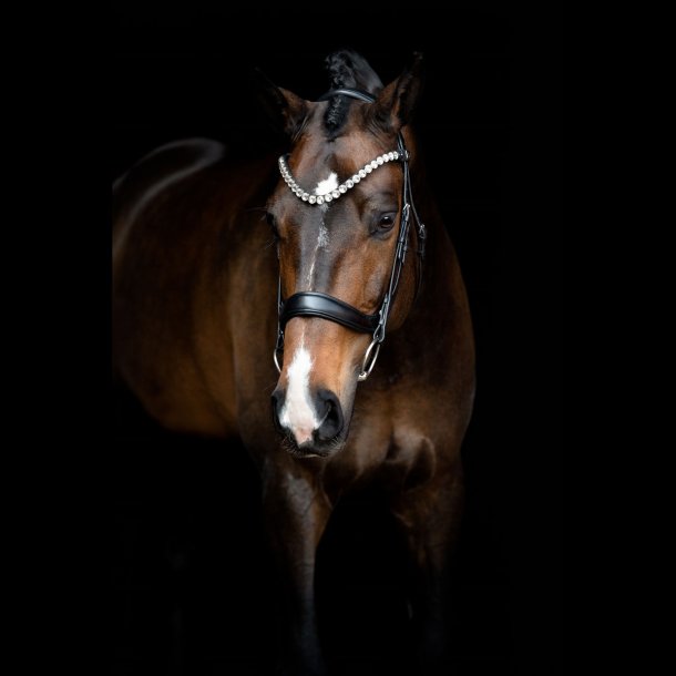 SD Anatomic noseband no.VII. Black.