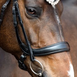 SD Anatomic noseband no.VII. Black.