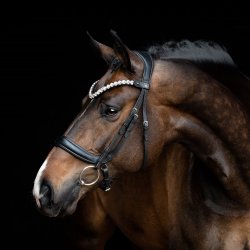 SD Anatomic noseband no.VII. Black.