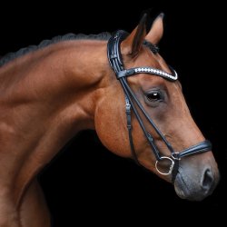 SD Duke de Niro Rolled dropnose bridle. Black.