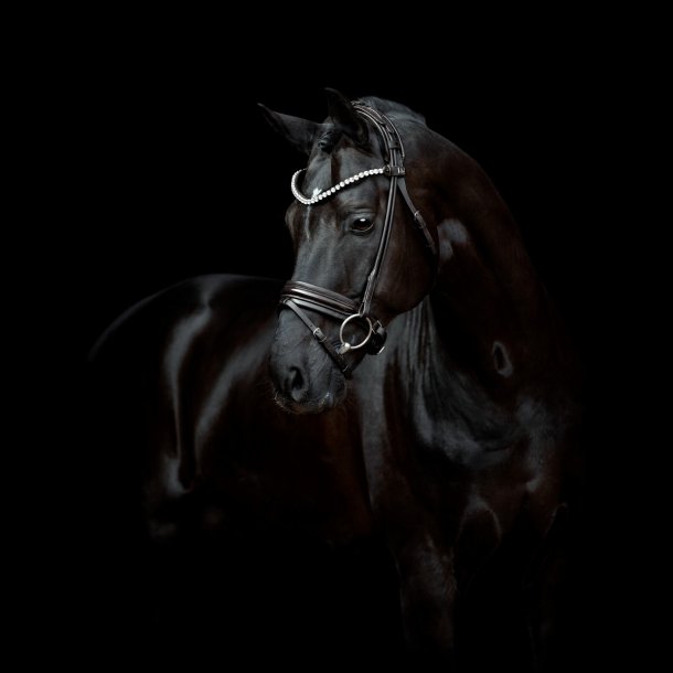 SD Zhivago Rolled bridle. Black/Black/PT.