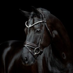 SD Zhivago Rolled bridle. Black/Black/PT.