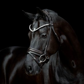 SD Zhivago Rolled bridle. Black/Black/PT.