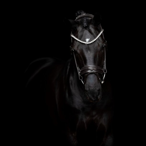 SD Zhivago Rolled bridle. Black/Black/PT.