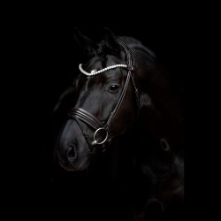 SD Zhivago Rolled bridle. Black/Black/PT.