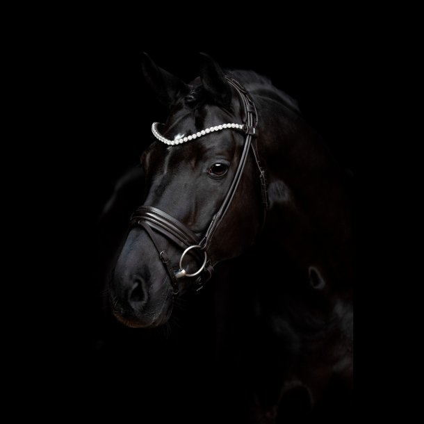 SD Zhivago Rolled bridle. Black/Black/PT.
