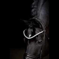 SD Zhivago Rolled bridle. Black/Black/PT.