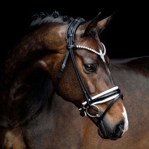 SD Zhivago Rolled bridle. Black/White/PT.