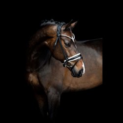 SD Zhivago Rolled bridle. Black/White/PT.