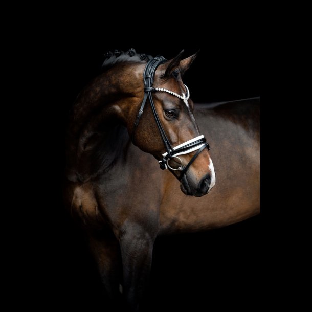SD Zhivago Rolled bridle. Black/White/PT.