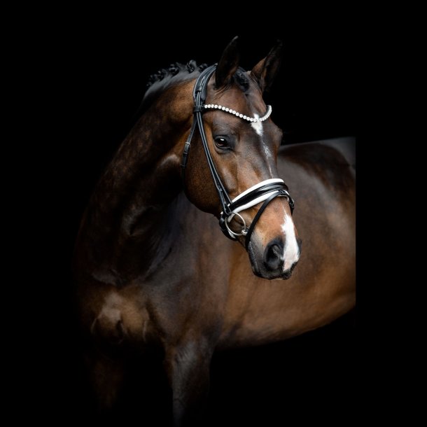 SD Zhivago Rolled bridle. Black/White/PT.