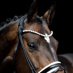 SD Zhivago Rolled bridle. Black/White/PT.