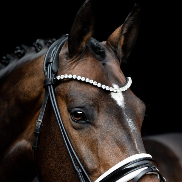 SD Zhivago Rolled bridle. Black/White/PT.