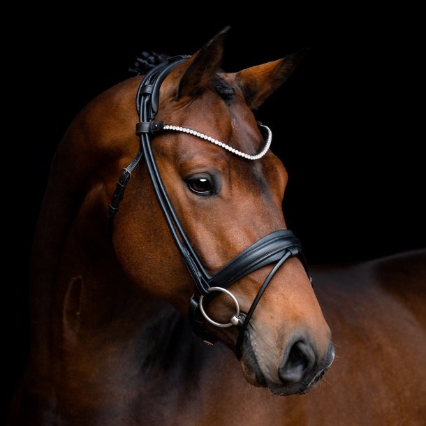 SD Noseband for rolled Bridle. Black/Black.
