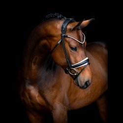 SD Noseband for rolled Bridle Black/White.