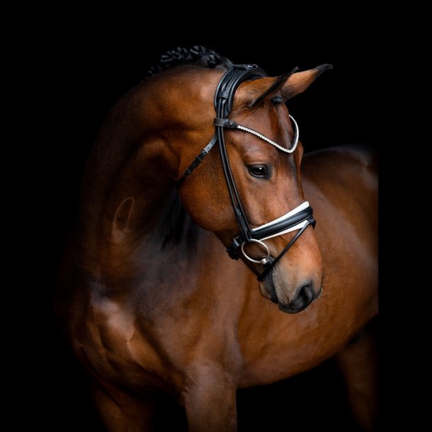 SD Noseband for rolled Bridle Black/White.