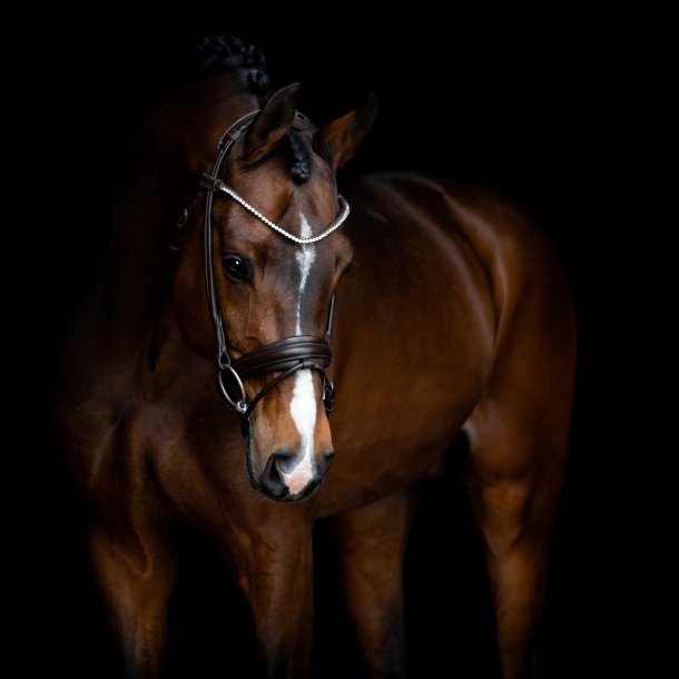 SD Noseband for rolled Bridle. Black/Black.