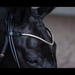 SD Veneziano Browband with silver clincher. Black.