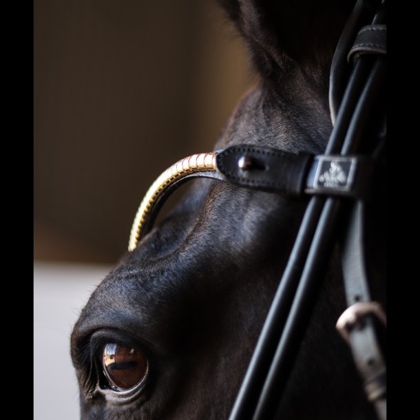 SD Veneziano Browband with Gold clincher. Black.