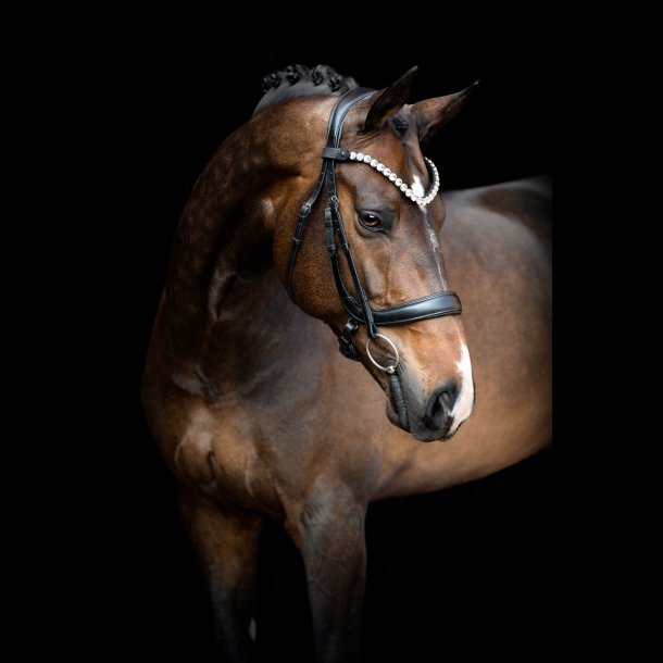 SD Valentino Browband. Black.