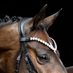 SD Valentino Browband. Black.