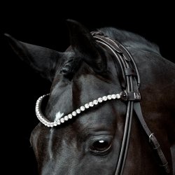 SD Headpiece for Rolled Bridle/rolled double bridle. Black.