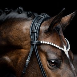 SD Headpiece for Rolled Bridle/rolled double bridle. Black.