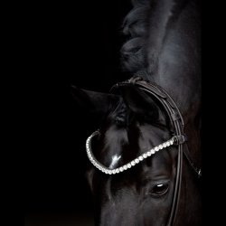 SD Headpiece for Rolled Bridle/rolled double bridle. Black.