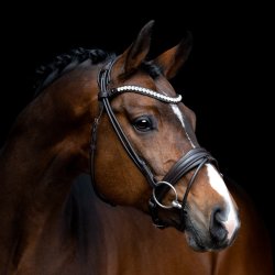 SD Noseband for rolled Bridle. Black/Black.