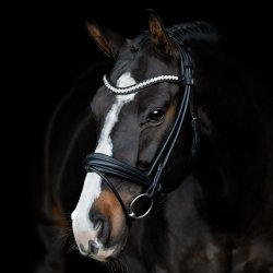 SD Duke de Niro II Rolled Bridle. Black/Black. 