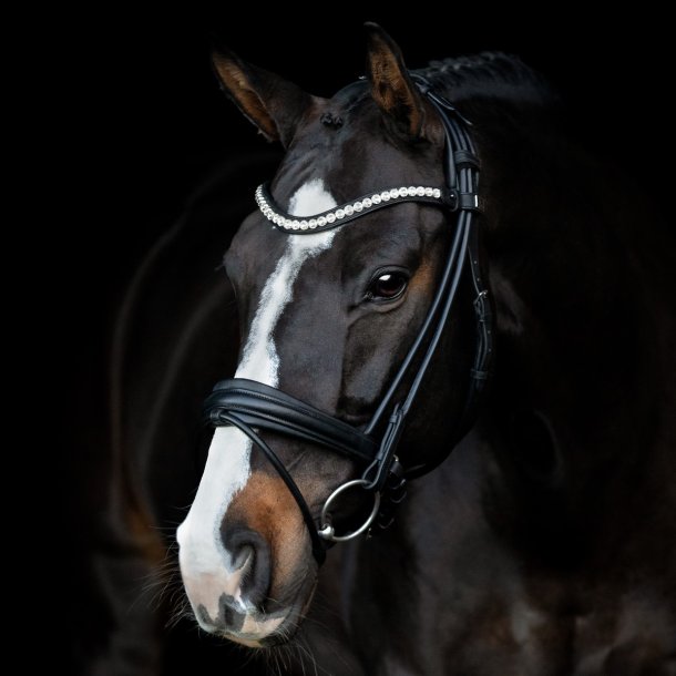 SD Duke de Niro II Rolled Bridle. Black/Black. 