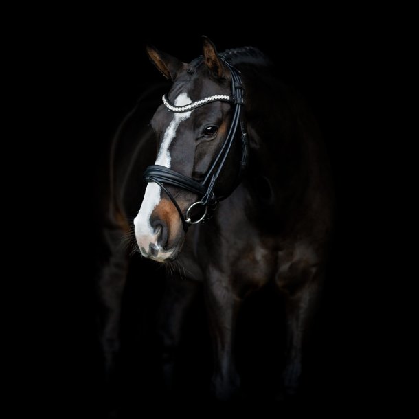 SD Duke de Niro II Rolled Bridle. Black/Black. 