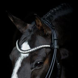 SD Duke de Niro II Rolled Bridle. Black/Black. 