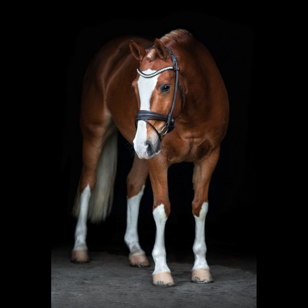 SD Duke de Niro II Rolled Bridle. Black/Black. 