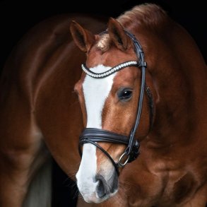 SD Duke de Niro II Rolled Bridle. Black/Black. 2. Sorting