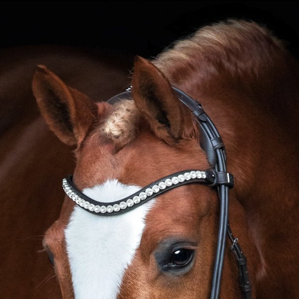 SD Duke de Niro II Rolled Bridle. Black/Black. 