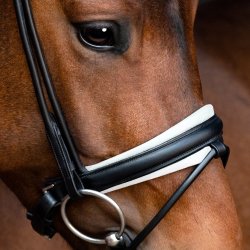 SD Noseband for rolled Bridle Black/White.