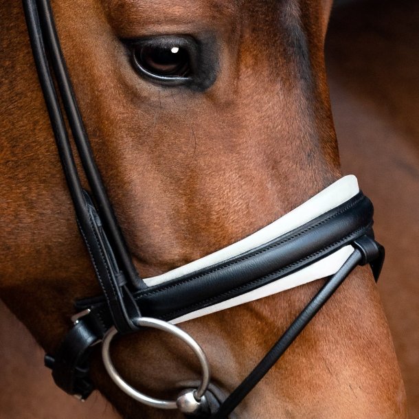 SD Noseband for rolled Bridle Black/White.