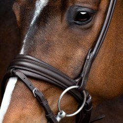 SD Noseband for rolled Bridle. Brown/Brown.