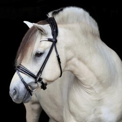 SD Noseband for rolled Bridle with tiny crystal rocks. Black/Black.