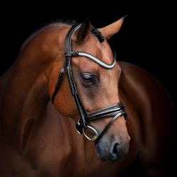 SD Amarant browband. Black.