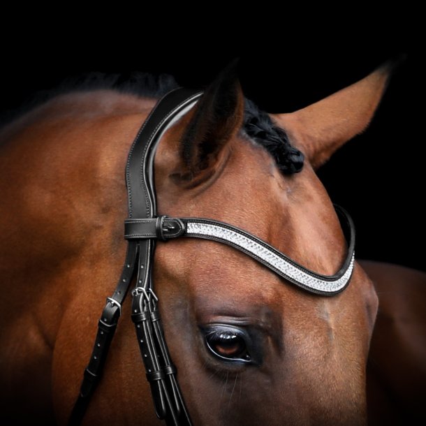 SD Amarant browband. Black.